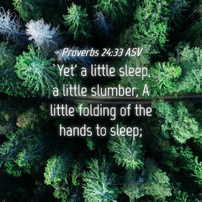 Picture 04 - Proverbs 24:33 ASV - `Yet' a little sleep, a little slumber, A little - Bible Verse Picture
