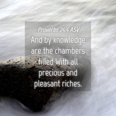 Picture 04 - Proverbs 24:4 ASV - And by knowledge are the chambers filled With all - Bible Verse Picture