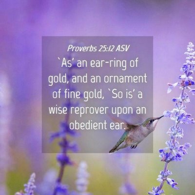 Picture 04 - Proverbs 25:12 ASV - `As' an ear-ring of gold, and an ornament of fine - Bible Verse Picture