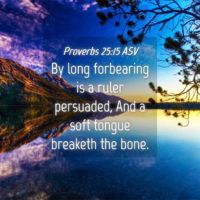 Picture 04 - Proverbs 25:15 ASV - By long forbearing is a ruler persuaded, And a - Bible Verse Picture