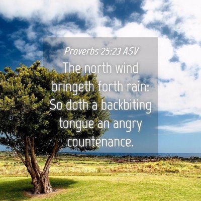 Picture 04 - Proverbs 25:23 ASV - The north wind bringeth forth rain: So doth a - Bible Verse Picture