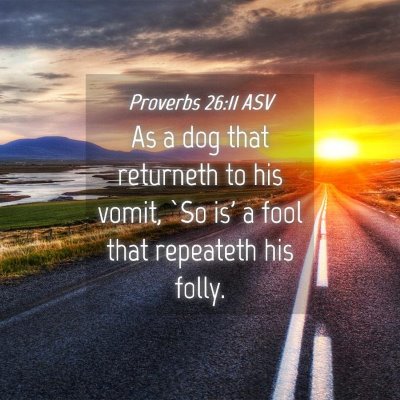 Picture 04 - Proverbs 26:11 ASV - As a dog that returneth to his vomit, `So is' a - Bible Verse Picture