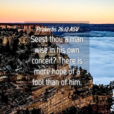 Picture 04 - Proverbs 26:12 ASV - Seest thou a man wise in his own conceit? There - Bible Verse Picture