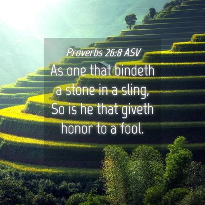 Picture 04 - Proverbs 26:8 ASV - As one that bindeth a stone in a sling, So is he - Bible Verse Picture