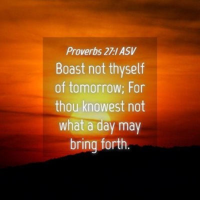 Picture 04 - Proverbs 27:1 ASV - Boast not thyself of tomorrow; For thou knowest - Bible Verse Picture
