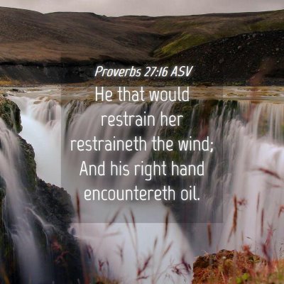 Picture 04 - Proverbs 27:16 ASV - He that would restrain her restraineth the wind; - Bible Verse Picture