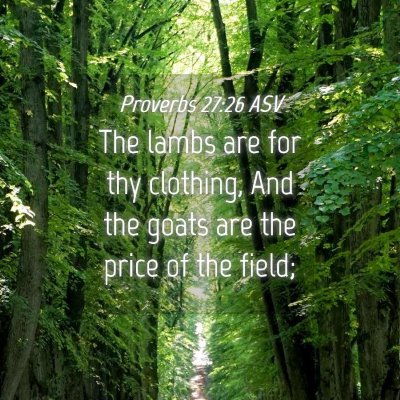 Picture 04 - Proverbs 27:26 ASV - The lambs are for thy clothing, And the goats are - Bible Verse Picture