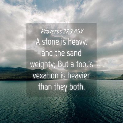 Picture 04 - Proverbs 27:3 ASV - A stone is heavy, and the sand weighty; But a - Bible Verse Picture