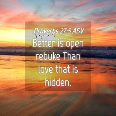Picture 04 - Proverbs 27:5 ASV - Better is open rebuke Than love that is - Bible Verse Picture