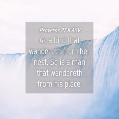 Picture 04 - Proverbs 27:8 ASV - As a bird that wandereth from her nest, So is a - Bible Verse Picture