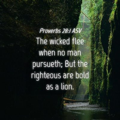 Picture 04 - Proverbs 28:1 ASV - The wicked flee when no man pursueth; But the - Bible Verse Picture