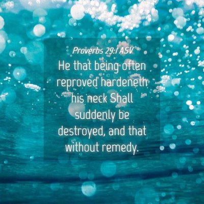 Picture 04 - Proverbs 29:1 ASV - He that being often reproved hardeneth his neck - Bible Verse Picture