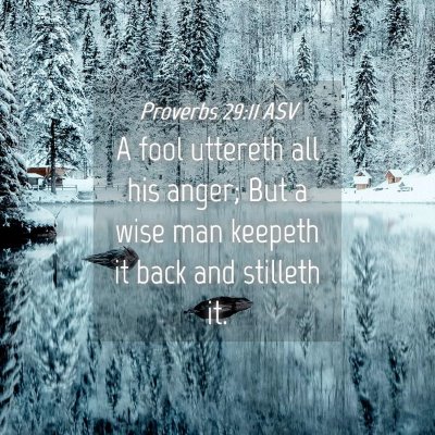 Picture 04 - Proverbs 29:11 ASV - A fool uttereth all his anger; But a wise man - Bible Verse Picture