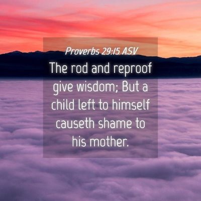 Picture 04 - Proverbs 29:15 ASV - The rod and reproof give wisdom; But a child left - Bible Verse Picture