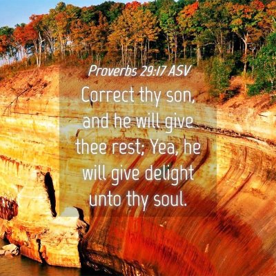 Picture 04 - Proverbs 29:17 ASV - Correct thy son, and he will give thee rest; Yea, - Bible Verse Picture