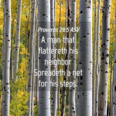 Picture 04 - Proverbs 29:5 ASV - A man that flattereth his neighbor Spreadeth a - Bible Verse Picture