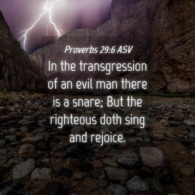 Picture 04 - Proverbs 29:6 ASV - In the transgression of an evil man there is a - Bible Verse Picture