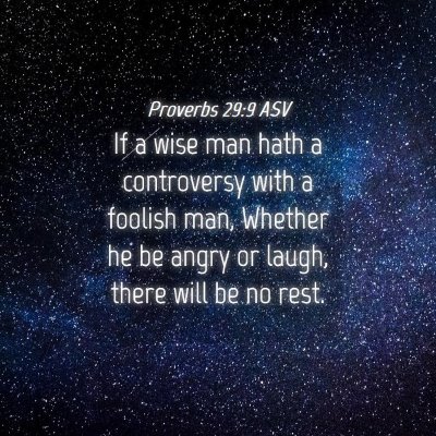 Picture 04 - Proverbs 29:9 ASV - If a wise man hath a controversy with a foolish - Bible Verse Picture
