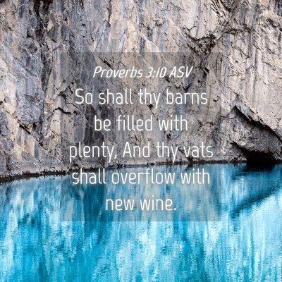 Picture 04 - Proverbs 3:10 ASV - So shall thy barns be filled with plenty, And thy - Bible Verse Picture