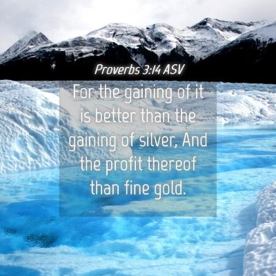 Picture 04 - Proverbs 3:14 ASV - For the gaining of it is better than the gaining - Bible Verse Picture