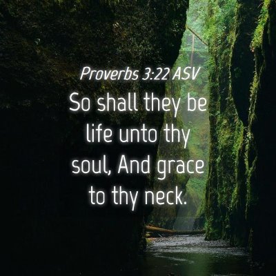 Picture 04 - Proverbs 3:22 ASV - So shall they be life unto thy soul, And grace to - Bible Verse Picture