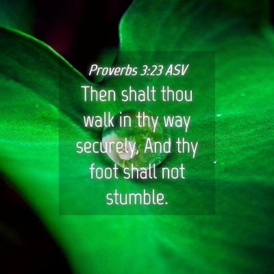 Picture 04 - Proverbs 3:23 ASV - Then shalt thou walk in thy way securely, And thy - Bible Verse Picture