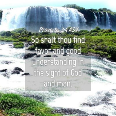 Picture 04 - Proverbs 3:4 ASV - So shalt thou find favor and good understanding - Bible Verse Picture