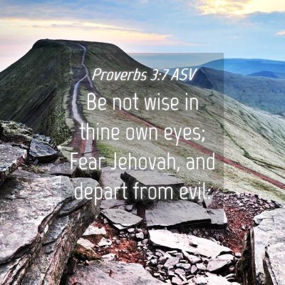 Picture 04 - Proverbs 3:7 ASV - Be not wise in thine own eyes; Fear Jehovah, and - Bible Verse Picture