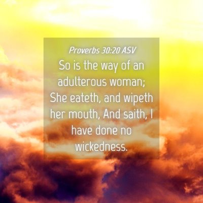 Picture 04 - Proverbs 30:20 ASV - So is the way of an adulterous woman; She eateth, - Bible Verse Picture