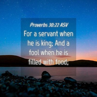 Picture 04 - Proverbs 30:22 ASV - For a servant when he is king; And a fool when he - Bible Verse Picture