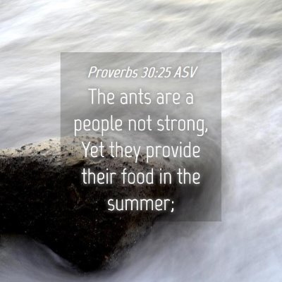 Picture 04 - Proverbs 30:25 ASV - The ants are a people not strong, Yet they - Bible Verse Picture