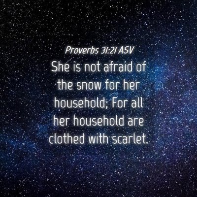 Picture 04 - Proverbs 31:21 ASV - She is not afraid of the snow for her household; - Bible Verse Picture