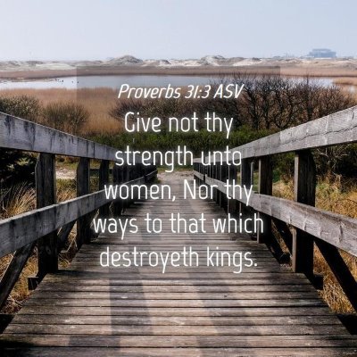 Picture 04 - Proverbs 31:3 ASV - Give not thy strength unto women, Nor thy ways to - Bible Verse Picture
