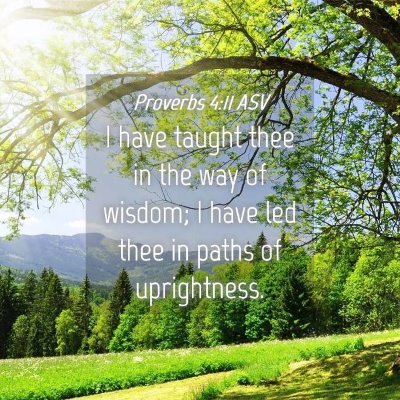 Picture 04 - Proverbs 4:11 ASV - I have taught thee in the way of wisdom; I have - Bible Verse Picture