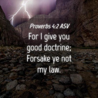 Picture 04 - Proverbs 4:2 ASV - For I give you good doctrine; Forsake ye not my - Bible Verse Picture
