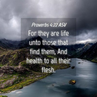 Picture 04 - Proverbs 4:22 ASV - For they are life unto those that find them, And - Bible Verse Picture