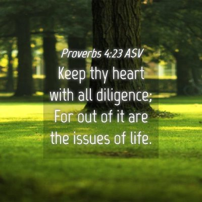 Picture 04 - Proverbs 4:23 ASV - Keep thy heart with all diligence; For out of it - Bible Verse Picture