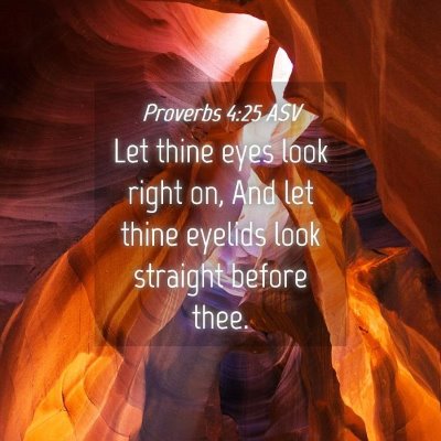 Picture 04 - Proverbs 4:25 ASV - Let thine eyes look right on, And let thine - Bible Verse Picture