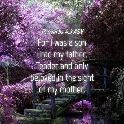 Picture 04 - Proverbs 4:3 ASV - For I was a son unto my father, Tender and only - Bible Verse Picture