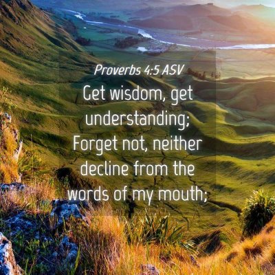 Picture 04 - Proverbs 4:5 ASV - Get wisdom, get understanding; Forget not, - Bible Verse Picture