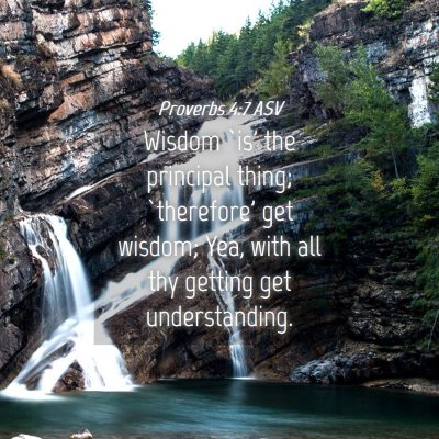 Picture 04 - Proverbs 4:7 ASV - Wisdom `is' the principal thing; `therefore' get - Bible Verse Picture