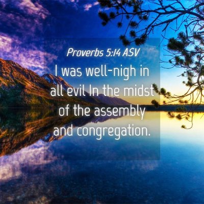 Picture 04 - Proverbs 5:14 ASV - I was well-nigh in all evil In the midst of the - Bible Verse Picture