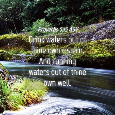 Picture 04 - Proverbs 5:15 ASV - Drink waters out of thine own cistern, And - Bible Verse Picture