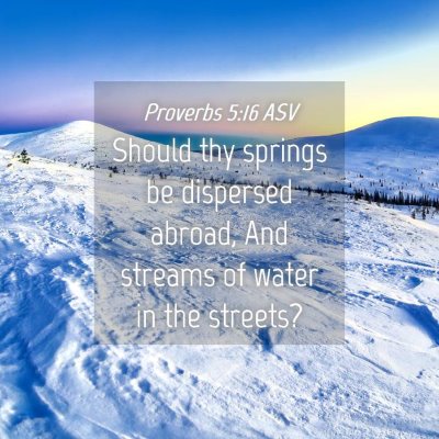 Picture 04 - Proverbs 5:16 ASV - Should thy springs be dispersed abroad, And - Bible Verse Picture