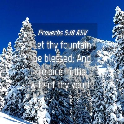 Picture 04 - Proverbs 5:18 ASV - Let thy fountain be blessed; And rejoice in the - Bible Verse Picture