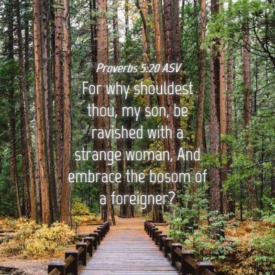 Picture 04 - Proverbs 5:20 ASV - For why shouldest thou, my son, be ravished with - Bible Verse Picture