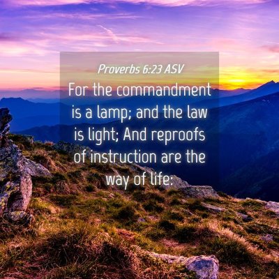 Picture 04 - Proverbs 6:23 ASV - For the commandment is a lamp; and the law is - Bible Verse Picture
