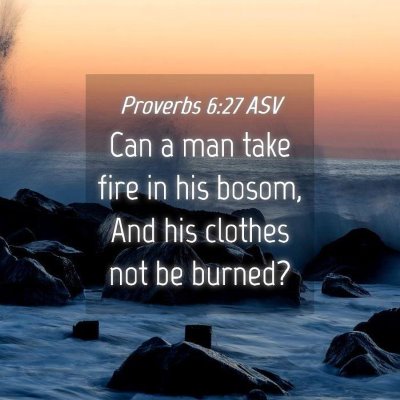 Picture 04 - Proverbs 6:27 ASV - Can a man take fire in his bosom, And his clothes - Bible Verse Picture