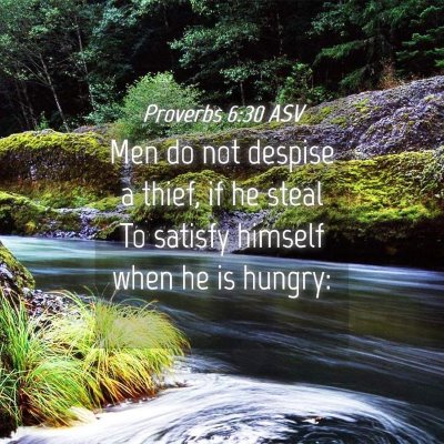 Picture 04 - Proverbs 6:30 ASV - Men do not despise a thief, if he steal To - Bible Verse Picture