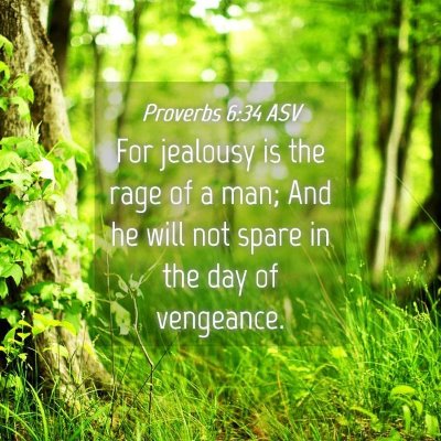 Picture 04 - Proverbs 6:34 ASV - For jealousy is the rage of a man; And he will - Bible Verse Picture